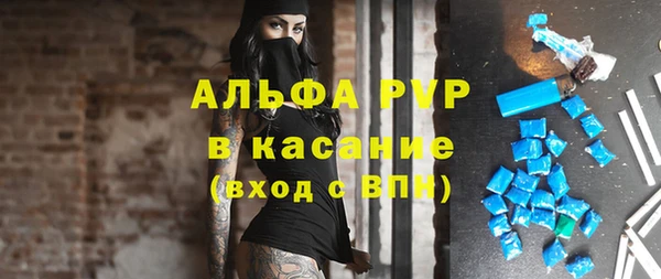 дживик Белокуриха