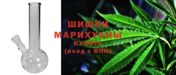 дживик Белокуриха