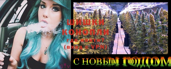 дживик Белокуриха