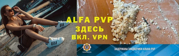 дживик Белокуриха