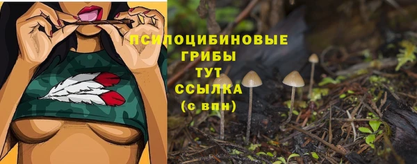 дживик Белокуриха