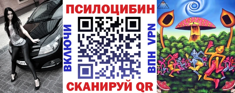 Галлюциногенные грибы Psilocybine cubensis цены наркотик гидра как зайти Дальнегорск