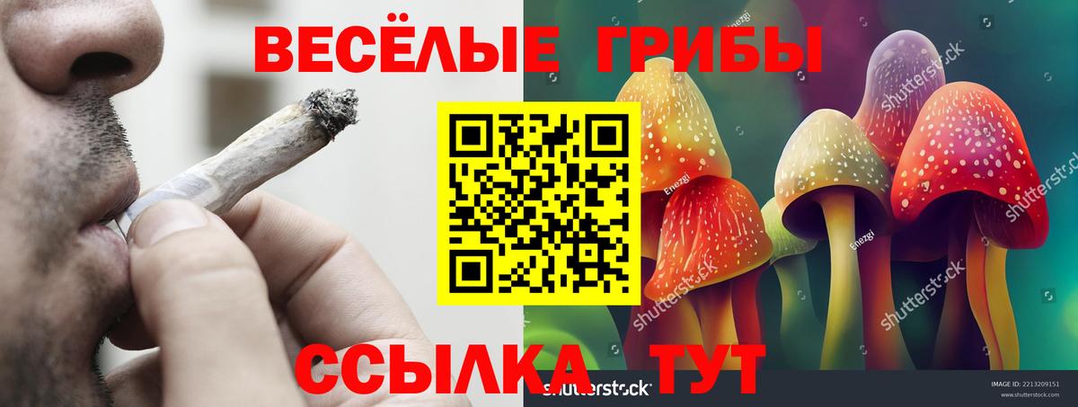 Псилоцибиновые грибы GOLDEN TEACHER  Галлюциногенные грибы прущие грибы  Дальнегорск  Вход с VPN 
